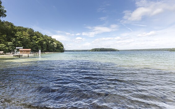 Bathing Area at Lake Stechlinsee in Neuglobsow