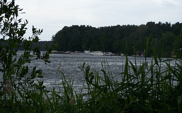 Blick auf den Hölzerner See, Foto: Petra Förster, Lizenz: Tourismusverband Dahme-Seenland e.V.