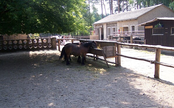 Kindertierpark im KiEZ Frauensee - Pony, Foto: Günter Schönfeld, Lizenz: Tourismusverband Dahme-Seenland e.V.