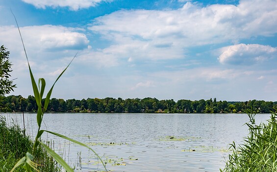 Teupitzer See , Foto: Steffen Lehmann, Lizenz: TMB-Fotoarchiv