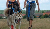 Husky-Familienwanderung 2, Foto: Sabine Kühn, Lizenz: Sabine Kühn