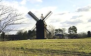 Windmühle in Michendorf, Foto:  Bettina Wedde, Lizenz: TMB-Fotoarchiv