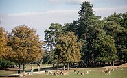 Wildpark Johannismühle, Foto:  Yorck Maecke, Lizenz: TMB-Fotoarchiv