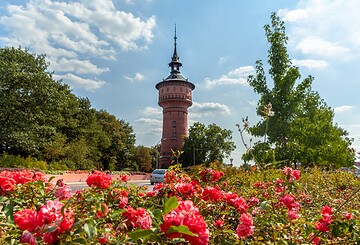 Forst (Lausitz) - Prussian Memorial Sites