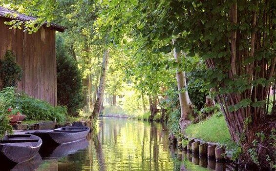 Spreewald bei Burg, Foto: Konrad Langer