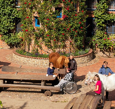 Reiter- und Erlebnisbauernhof Groß Briesen - Teambuilding