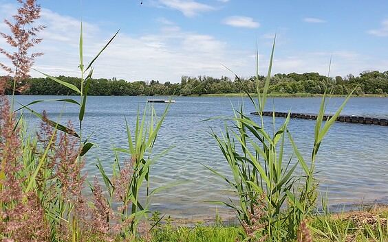 Strandbad am Baggersee Gusow, Foto:  Joanna Nordmann