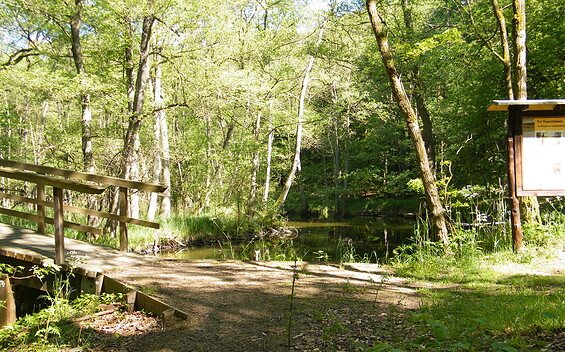 Wanderung um den Hegensteinbach, Foto: TI Fürstenberg/Havel, Lizenz: TI Fürstenberg/Havel