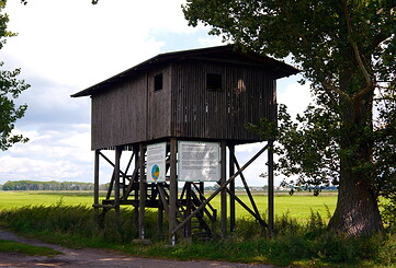 Havelländisches Luch - Vogelbeobachtungsturm Utershorst