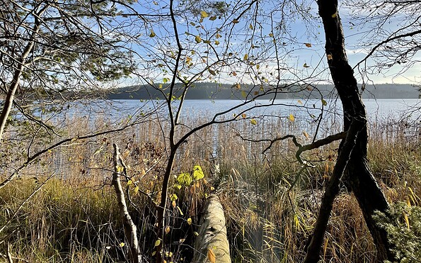 Blick auf den Großen Wummsee, Foto: Itta Olaj, Lizenz: Tourismusverband Ruppiner Seenland e.V.