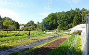 Gärtnerei biobewusst, Foto: Anke Bielig, Lizenz: Anke Bielig