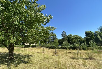 Klostergarten Zehdenick