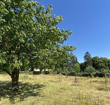Klostergarten Zehdenick