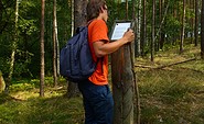 Lesepult an der Lesefährte Waldweisen, Foto: Tourismusverband Dahme-Seen e.V.