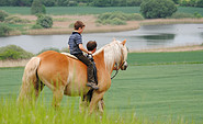 Ferienwohnungen Reitpension am Wiesengrund, tmu GmbH