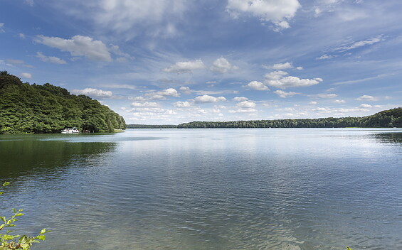 Großer Zechliner See, Foto: Steffen Lehmann, Lizenz: TMB-Fotoarchiv Steffen Lehmann