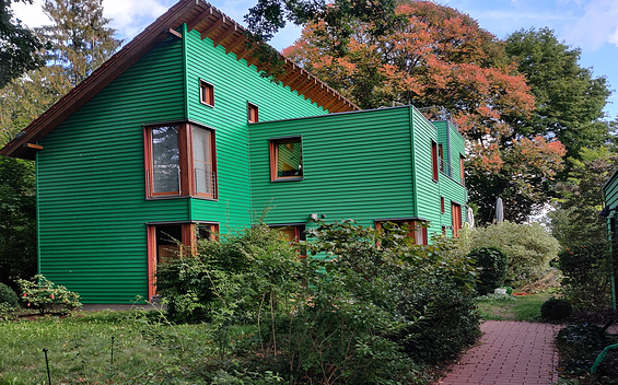 Grünes Holzhaus