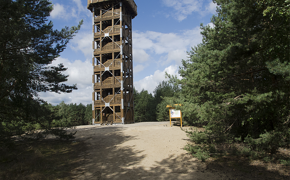 Wanderung zum Löwendorfer Berg