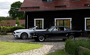 Mustangs auf Tour im Spreewald, Foto: Uve Seifert, Lizenz: Uve Seifert