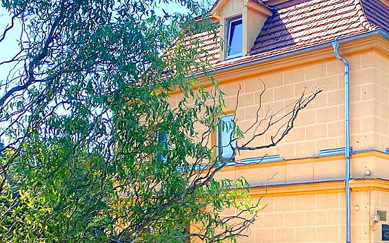 Villa Sophienschlösschen - Tagungshaus