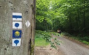 Unterwegs im Naturpark Barnim, Foto: Merith Sommer