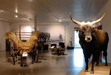 BARNIM PANORAMA Wandlitz