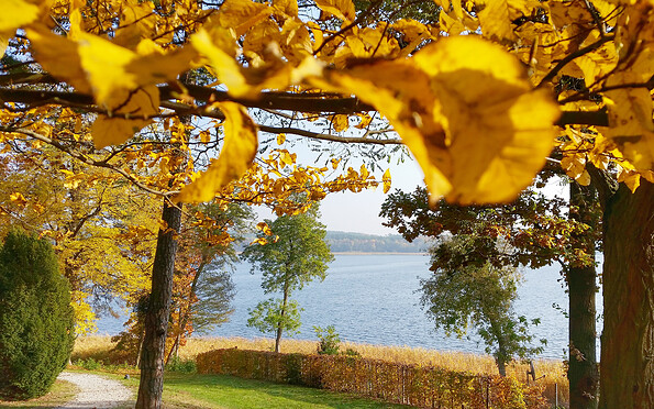 Herbst im Schlosspark Hubertushöhe, Foto: Angelika Laslo, Lizenz: Seenland Oder-Spree