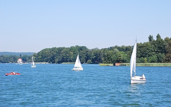 Segelboote auf dem Scharmützelsee, Foto: Seenland Oder-Spree