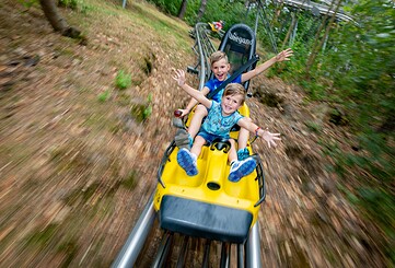 Scharmützelbob - Ganzjahresrodelbahn