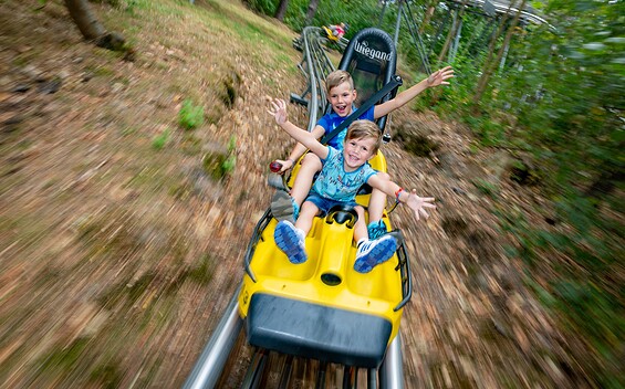 Scharmützelbob – all year round tobogganing