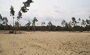 Bugker Sahara, Foto: Seenland Oder-Spree