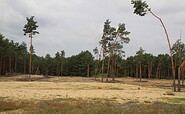 Auf dem Wanderweg, Foto: Seenland Oder-Spree