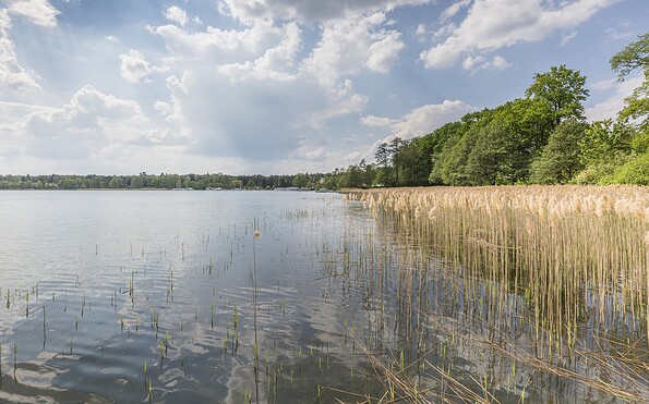 Jezioro Scharmützelsee Bad Saarow, Foto: Steffen Lehmann, Lizenz: TMB-Fotoarchiv