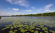 Seerosentour, Foto: Florian Läufer, Lizenz: Seenland Oder-Spree