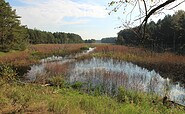 Miethsluch, Foto: Holger Rößling, Lizenz: Stiftung Naturschutzfonds Brandenburg