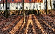 Das Gästehaus von hinten, mitten im Buchenwald., Foto: Dorota Herrmann, Lizenz: Dorota Herrmann