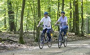 Radfahren im Wald, Foto: Andreas Franke, Lizenz: TMB-Fotoarchiv