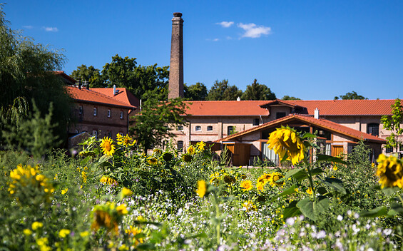 Storchenhof Blumenow