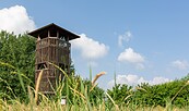 Aussichtstum in Groß Schauen, Foto: Florian Läufer, Lizenz: Seenland Oder-Spree