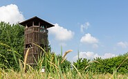 Aussichtstum in Groß Schauen, Foto: Florian Läufer, Lizenz: Seenland Oder-Spree