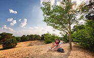 Binnendüne Waltersberge, Foto: Florian Läufer, Lizenz: Seenland Oder-Spree