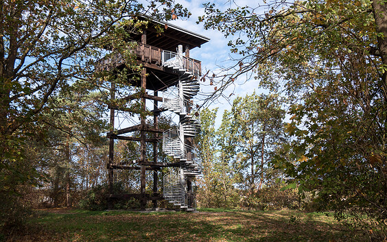 Aussichtsturm am Kulk, Foto: Catharina Weisser, Lizenz: Tourismusverband Fläming e.V.