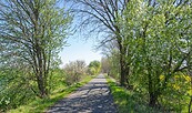 Oderbruchbahn-Radweg, Foto: Seenland Oder-Spree