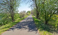 Oderbruchbahn-Radweg, Foto: Seenland Oder-Spree