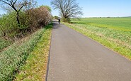 Oderbruchbahn-Radweg, Foto: Seenland Oder-Spree