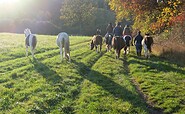 Auszeit mit Pferden unterwegs, Foto: Lisa Wiese, Lizenz: Lisa Wiese