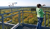 View from the Rauen observation tower, Foto: Angelika Laslo , Lizenz: Seenland Oder-Spree