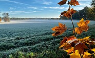 Wierichwiesen im Herbst, Foto: Tourismusverein Scharmützelsee e.V.