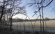 Wierichwiesen in winter, Foto: Tourismusverein Scharmützelsee e.V.