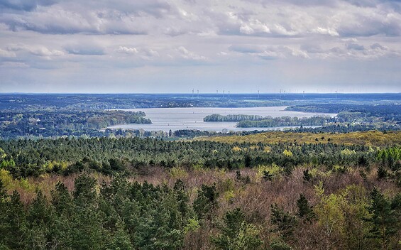Observation tower Rauener Berge, Foto: Angelika Laslo, Lizenz: Seenland Oder-Spree